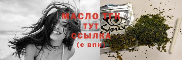 тгк Новодвинск